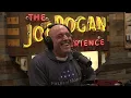 Joe Rogan Experience #2551 - Daniel Kokotajlo