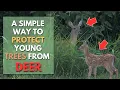 Protect Your Young TREES from DEER - Fall Garden Tips