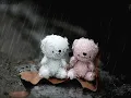 เพื่อเธอ -แหวน ปวริศา
