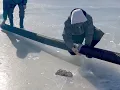 DNR Trout Stocking at Terra Park Winter 2024
