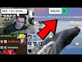 Download Lagu xQc's Viewers are Absolutely Unhinged...