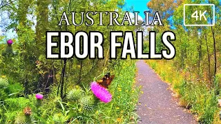 ebor falls guy fawkes river national park new england region nsw