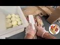Jersey Mike s POV Training the New Hire Episode 1