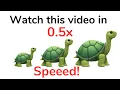 Watch this video in 0.5x speed