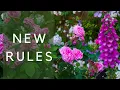 Contemporary rose borders - easier healthier and more beautiful