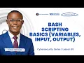 LESSON 65 Bash Scripting Basics - Variables Input Output