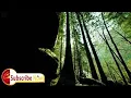 Download Lagu Rev. Seth Baah  (Worship)
