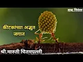 Download Lagu कीटकांच्या अद्भुत जगात, लेखक : श्री.मारुती चितमपल्ली MP3
