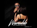 SLADE FT (SINO MSOLO)_ Wamuhle