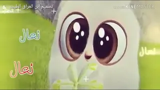 محمود التركي تعال يا ابن الحلال  محمود التركي تعال يا ابن الحلال
