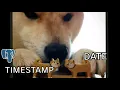 Timestamp and Date in PostgreSQL