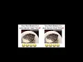 You Ain t Black If You Ain t Ever Had This Memes