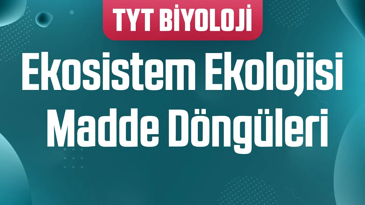 47) Ekosistem Ekolojisi : Madde Döngüleri