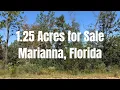 1 25 Acres for Sale in Marianna Florida Free Clear Title