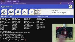 Using the MicroPython REPL with the micro bit