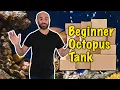 What YOU NEED to start your OCTOPUS TANK