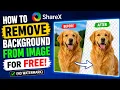 How to Remove Background From Image For FREE No Watermark