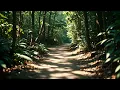 Meditative Ambience - "an 800% slowed version of 'RITUAL (nothing is lost)' by Jon Hopkins