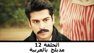 مدبلج بالعربية الحلقة 12 طائر النمنمة 