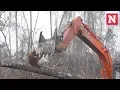 Orangutan Attacks Digger Destroying Its Home
