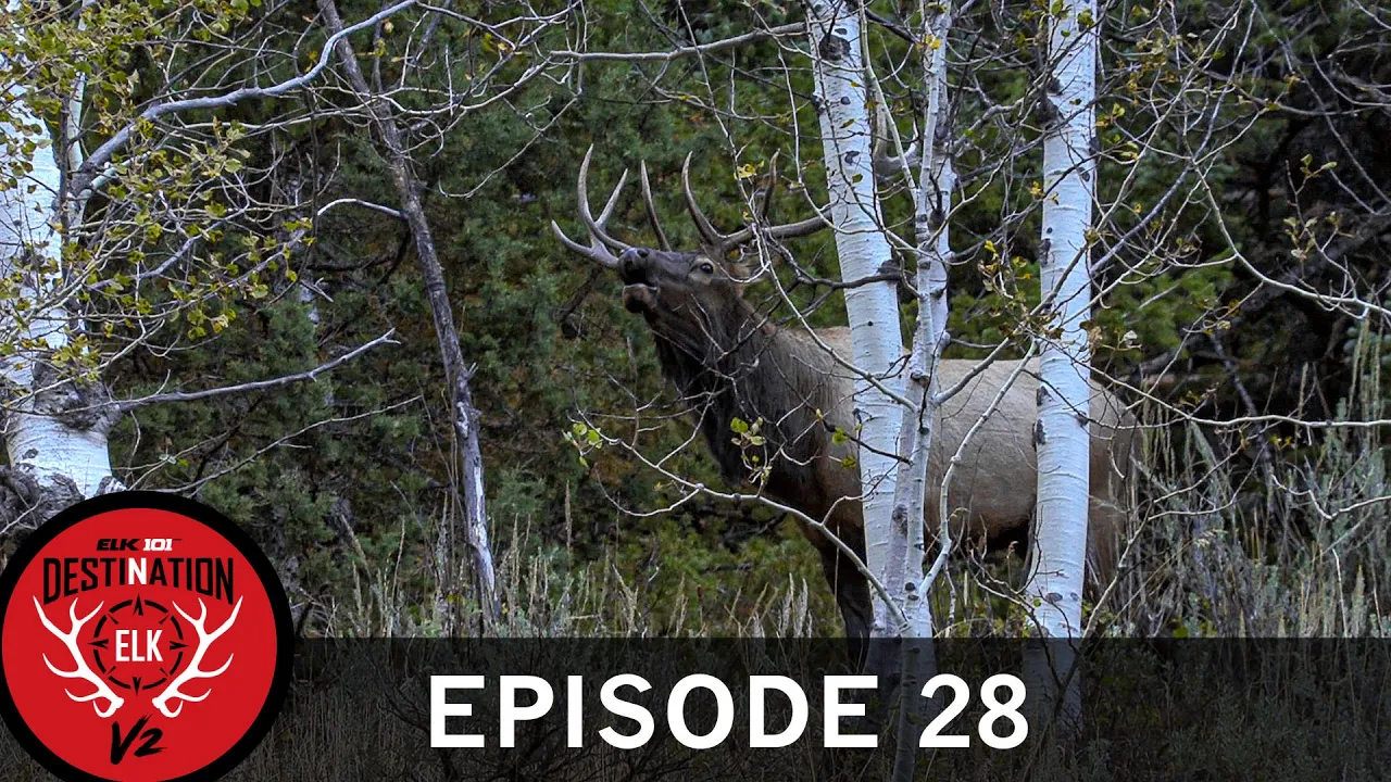 A 6X6 Bull Elk For Anthony - "Hunt of a Lifetime" (Destination Elk V2: Episode 28)