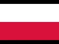 Central European International Cup Wikipedia article