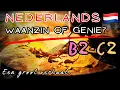 Lagu 🎧 Nederlands Leren (B-2-C2): Kunst \u0026 Geschiedenis | De Waanzin van Van Gogh (met CC)