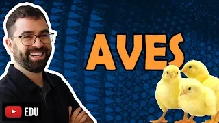 Aves - Aula 32 - Módulo VI: Zoologia | Prof. Gui