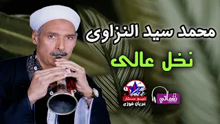 محمد سيد النزاوى   نخل عالى دندنها