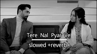 tere nal pyar ve slowed reverb song slowedandreverb 