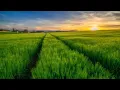 Word of YHWH 8-15-2026