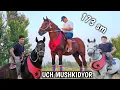 Download Lagu 07.09.2025 ULUGʻBEK AKADAN UCH OT SOTILADI  MASHALLOH !..