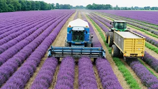 How Perfume Is Made Inside A Luxury PERFUME Factory  How Perfume Is Made Inside A Luxury PERFUME Factory