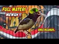 Download Lagu KONIN GACOR FULL MATERI ISIAN ROLL TEMBAK MEWAH !! PANCINGAN KOLIBRI NINJA AGAR CEPAT EMOSI