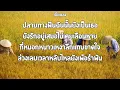 อีกฝั่งของพระจันทร์ | จิ๋ว สกุณชัย & มาลีฮวนน่า (เนื้อเพลง)🎧🎶