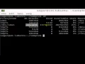 How to check disk space in Lubuntu