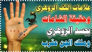الكف الزوهري علاماته وحقيقة الشامات بـ جسد الزوهري و ملك الجن عقرب Zouhri 