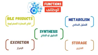                                                                                                      دندنها
