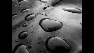 حبيبي وحياة عيونك ما بنساك مالك حجة Wmv  حبيبي وحياة عيونك ما بنساك مالك حجة Wmv