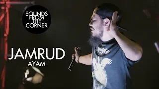 Download Jamrud - Ayam | Sounds From The Corner Live #20 MP3