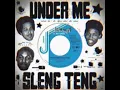 Wayne Smith - Under Me Sleng Teng (1985) 