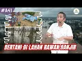 Solusi Pertanian di Lahan Rawan Banjir #bayudiningrat 