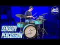 Lagu Sensory Percussion Cymbal Triggers (First Impressions)