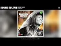Sound Sultan - Money Race (Official Audio) (feat. Spyro)