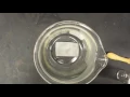 Creation of silver dendrites (VMI SURI 2016)