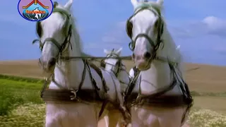 yesayya nanu korukunna ninja snehithuda hosanna