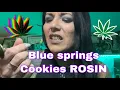 Blue springs cookies