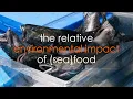 Seafood vs Meat - How does their environmental impact compare