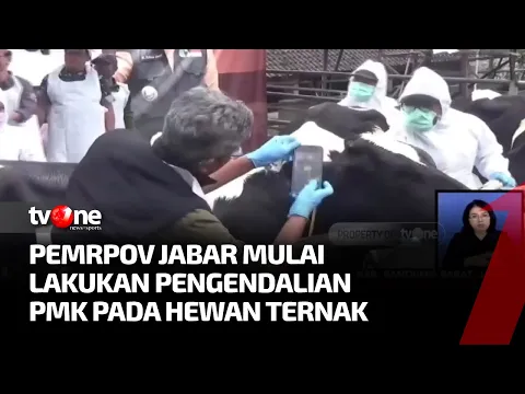 Jawa Barat Upayakan Akselerasi "Zero Case" Penyakit Mulut dan Kuku Pada Ternak