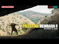 KAUM ZIONIS MULAI BERDATANGAN DAN MENDESAK PENDUDUK LOKAL CIKAL BAKAL KONDISI PALESTINA MASA KINI !